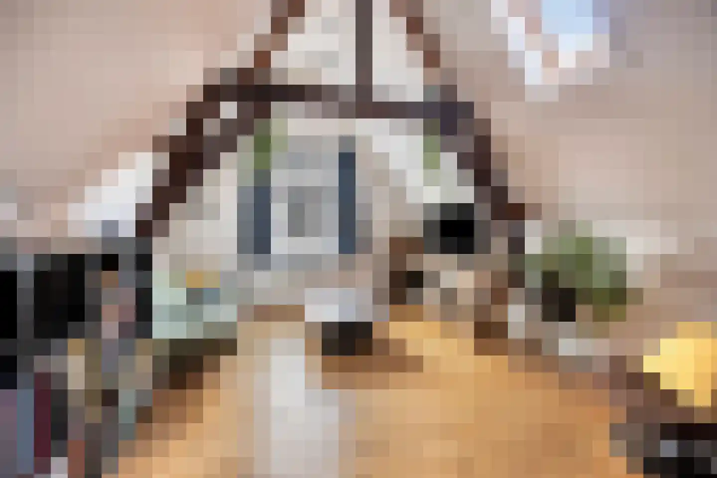 Sint Domusstraat 15 Zierikzee thumbnail 4
