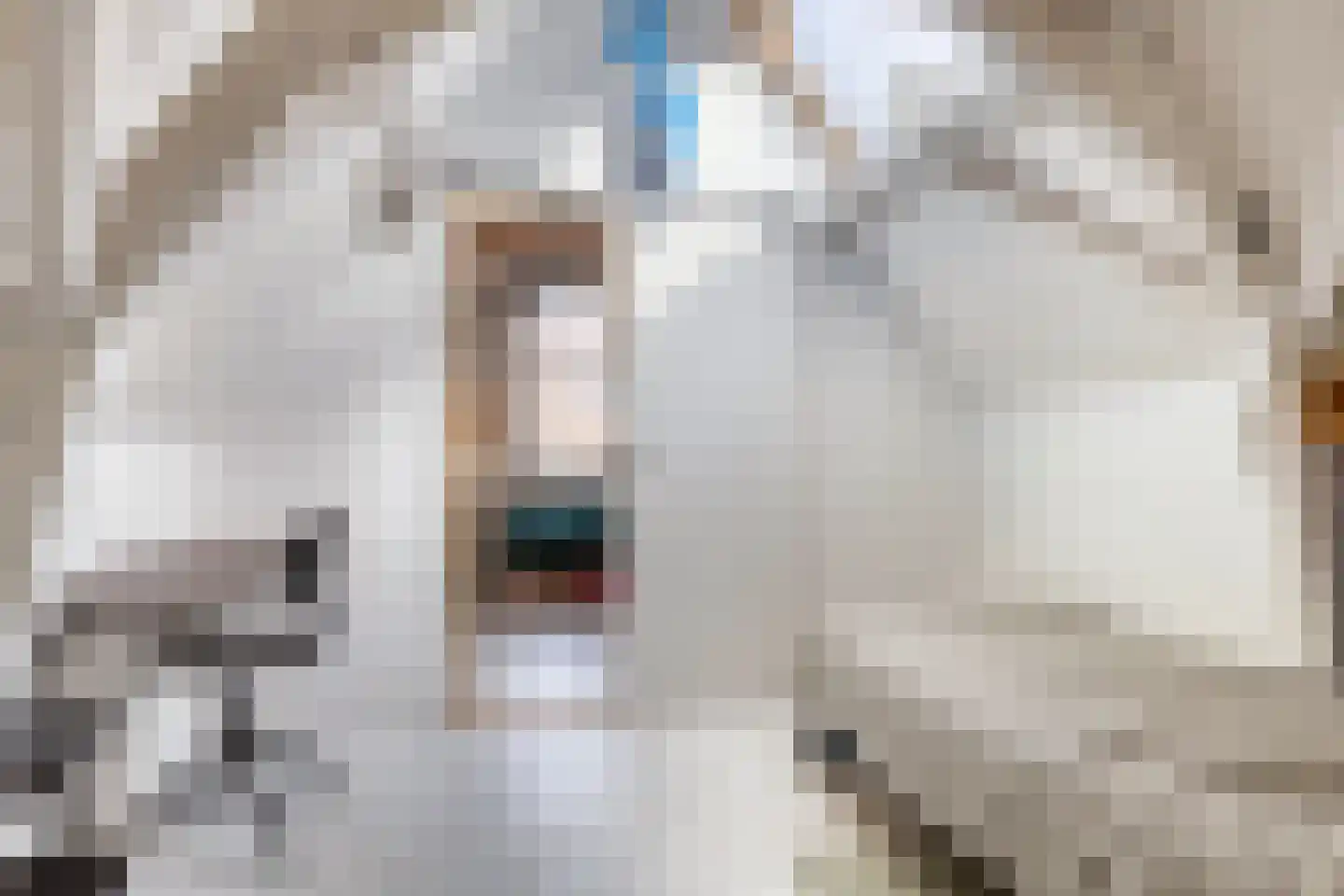 Sint Domusstraat 20 Zierikzee thumbnail 17