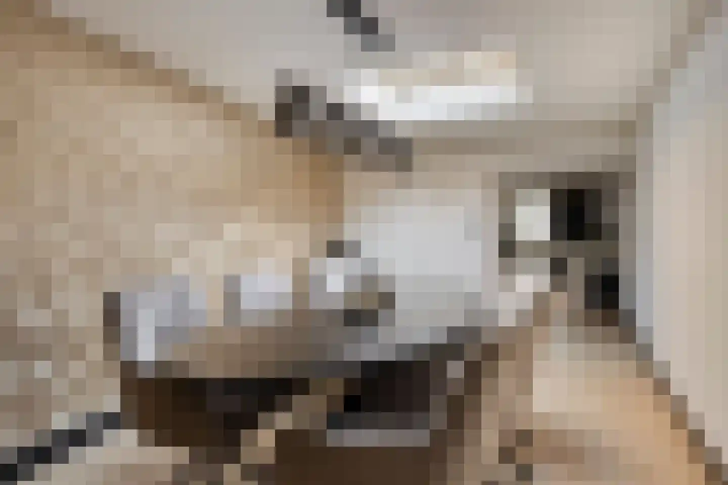 Sint Domusstraat 4 Zierikzee thumbnail 18