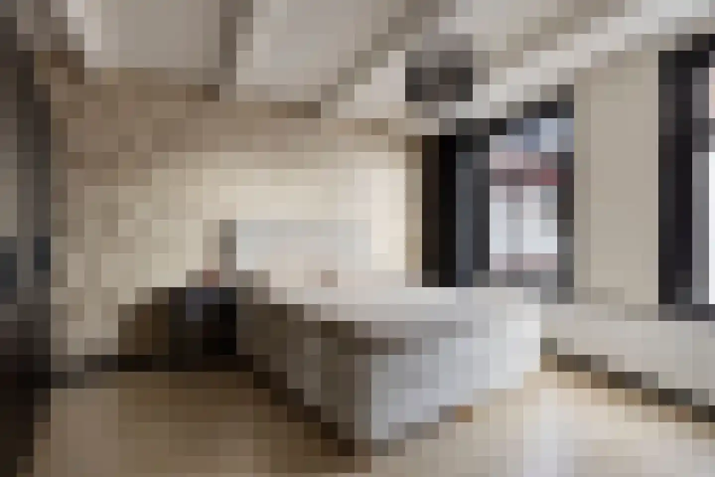 Sint Domusstraat 4 Zierikzee thumbnail 24