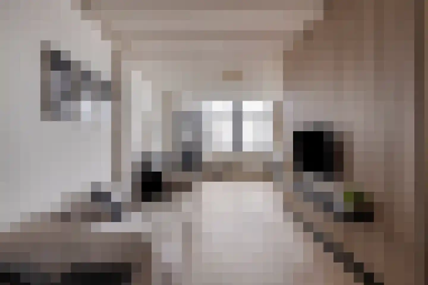 Sint Domusstraat 4 Zierikzee thumbnail 6