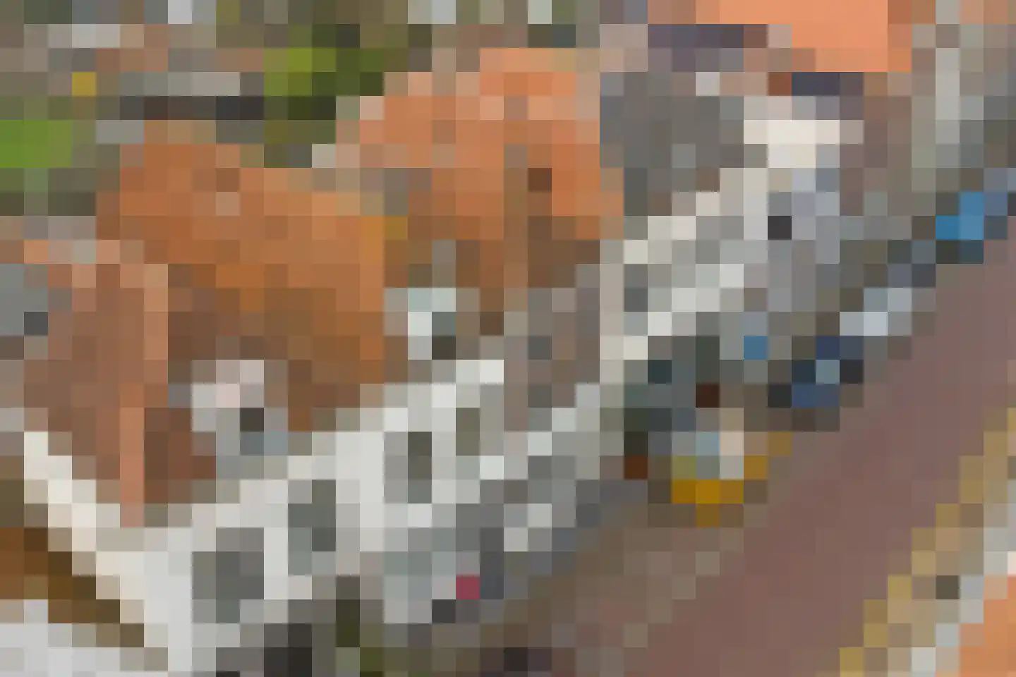 Sint Domusstraat 40 Zierikzee thumbnail 20