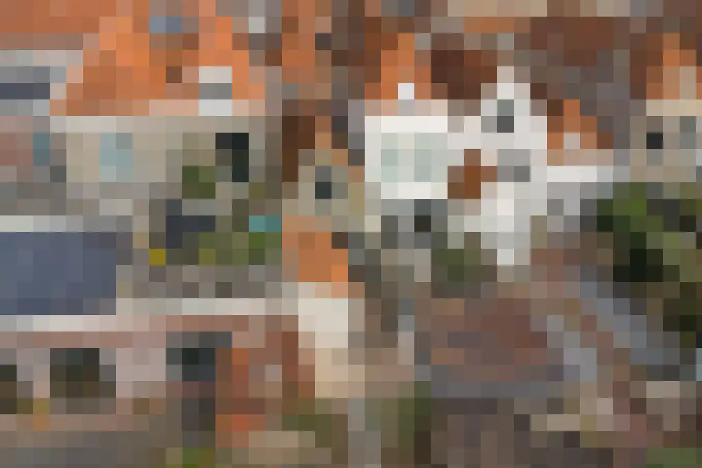 Sint Domusstraat 40 Zierikzee thumbnail 23