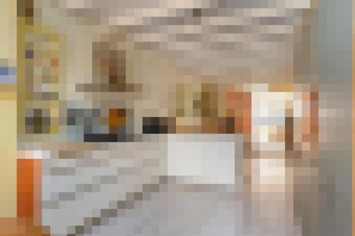 Sint Domusstraat 41 Zierikzee thumbnail 10