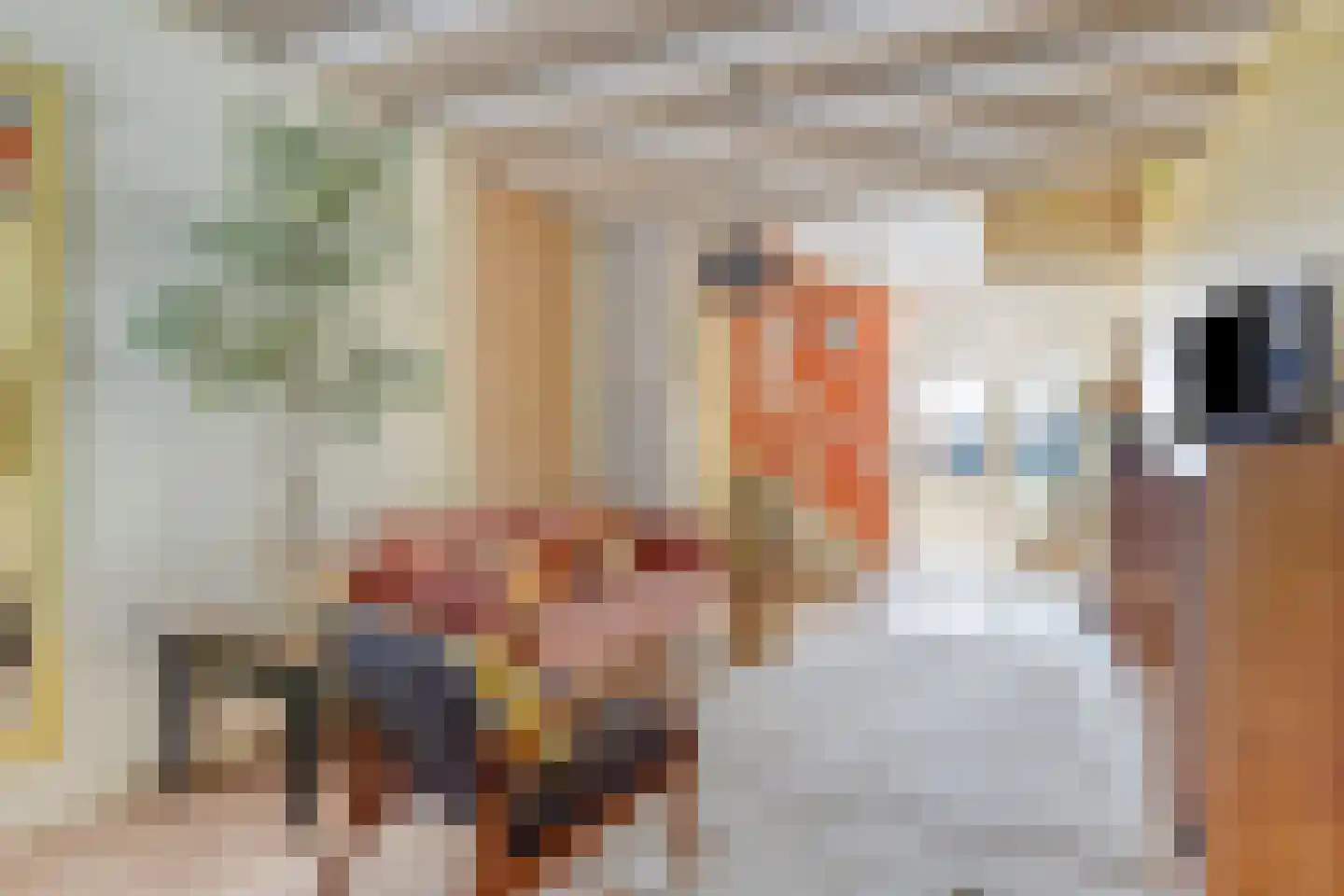 Sint Domusstraat 41 Zierikzee thumbnail 11