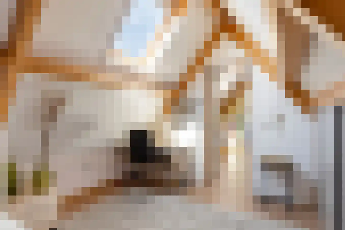 Sint Domusstraat 41 Zierikzee thumbnail 20