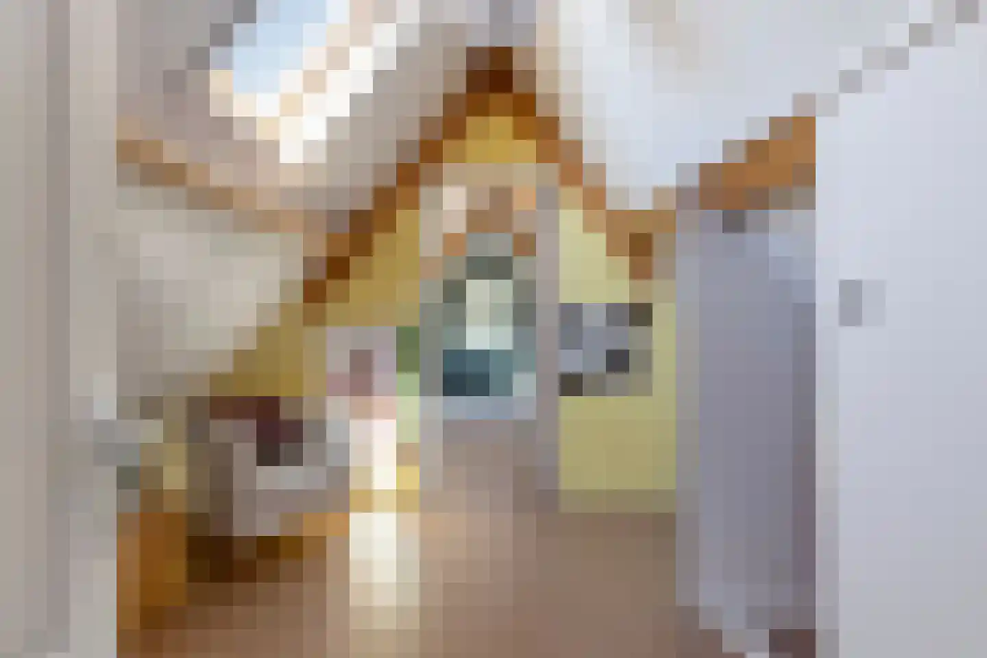 Sint Domusstraat 41 Zierikzee thumbnail 21