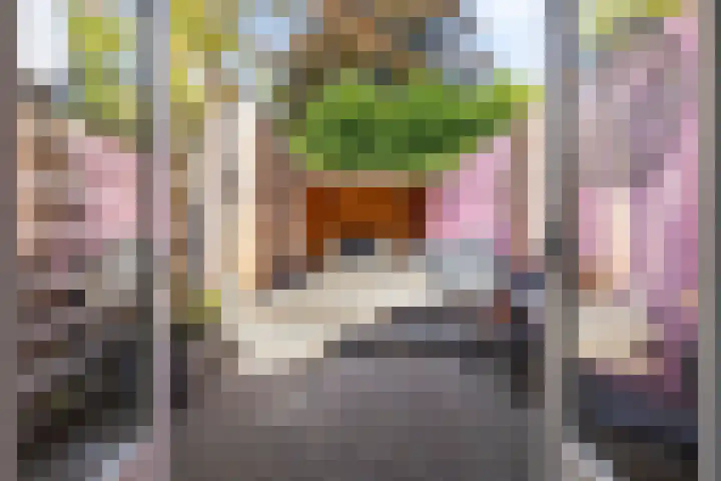 Sint Domusstraat 41 Zierikzee thumbnail 23