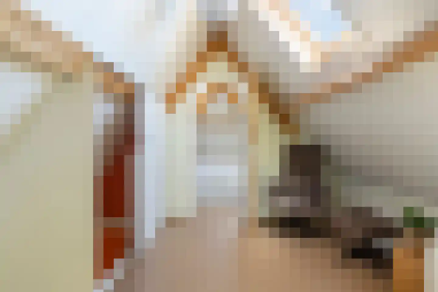 Sint Domusstraat 41 Zierikzee thumbnail 23