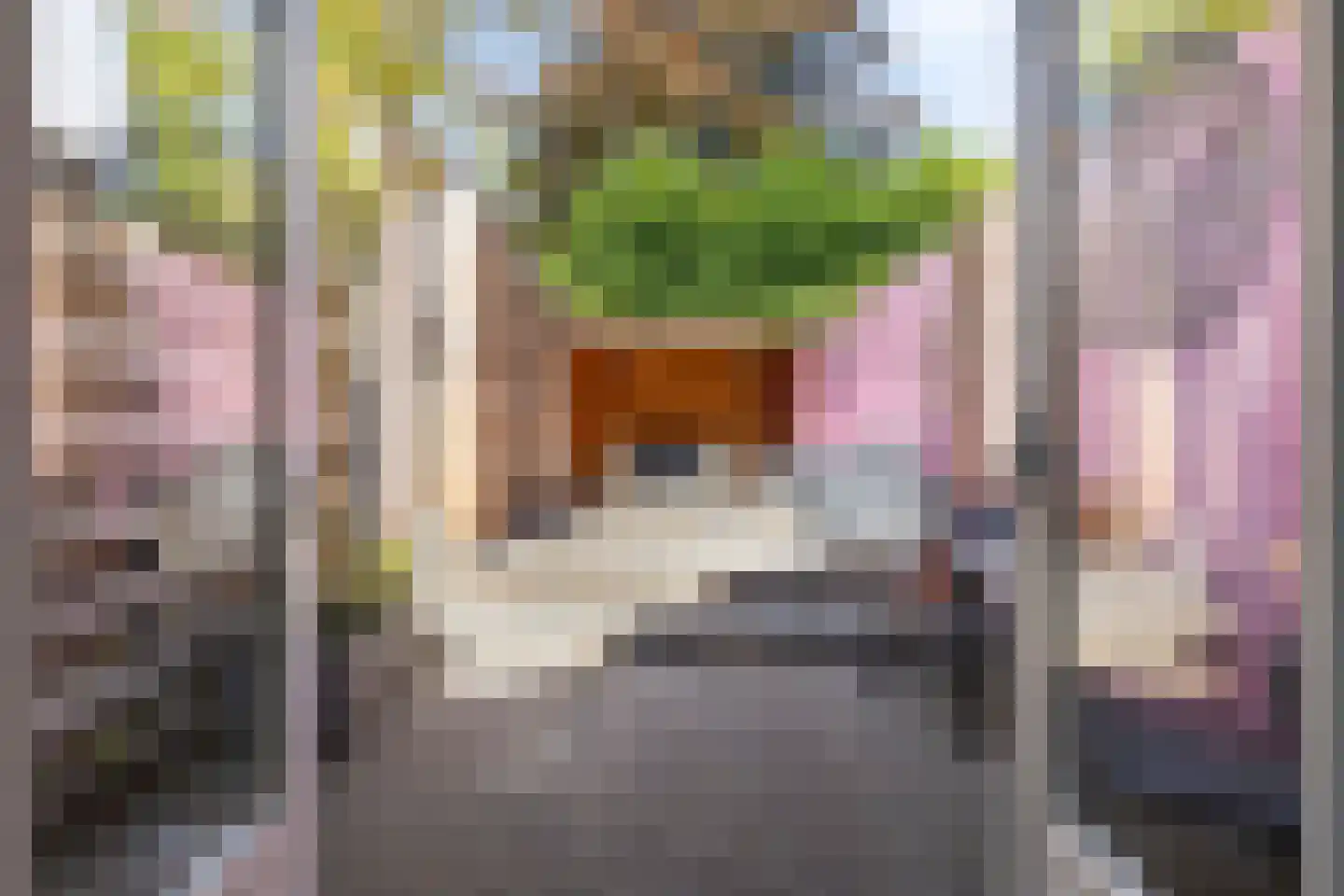 Sint Domusstraat 41 Zierikzee thumbnail 24