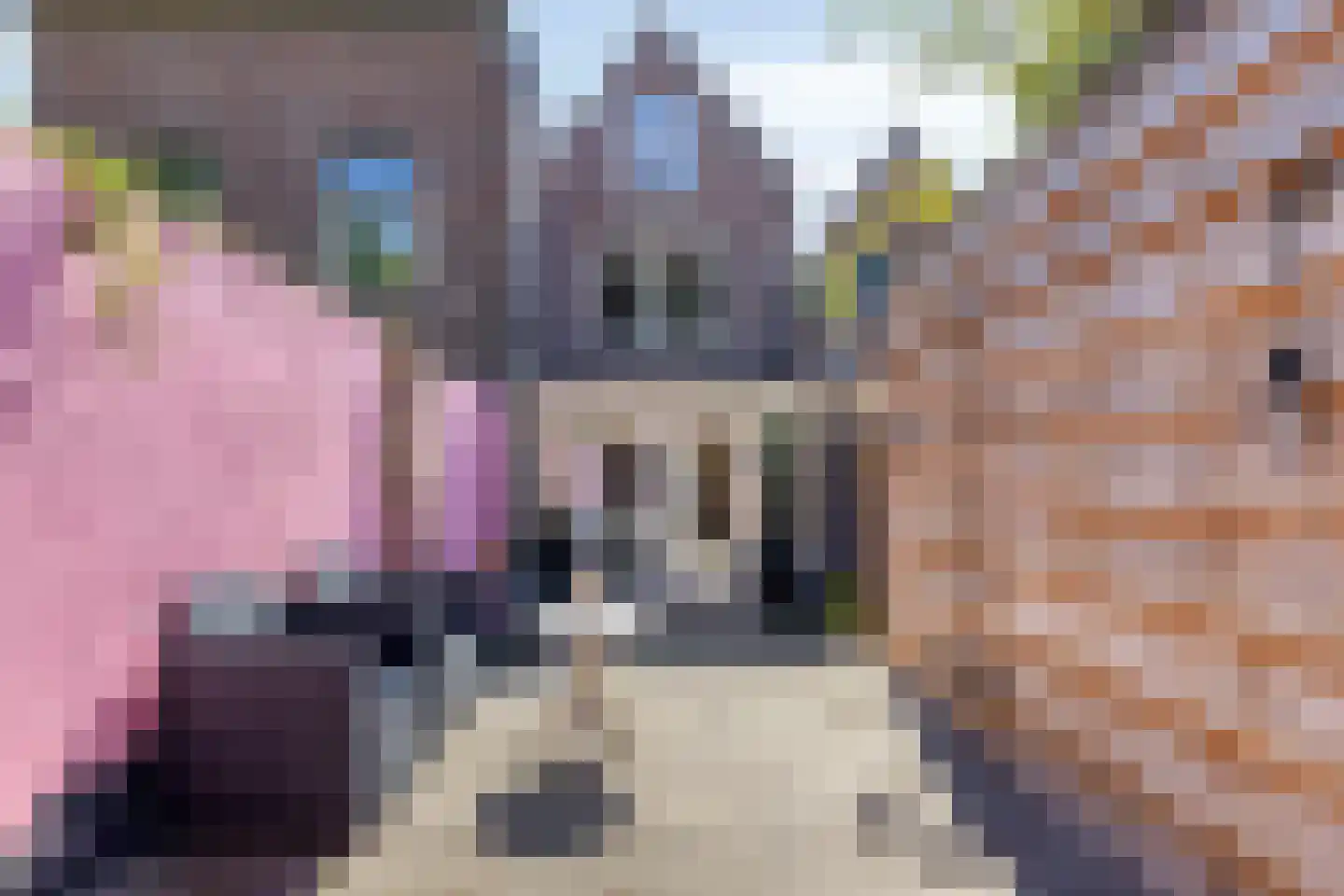 Sint Domusstraat 41 Zierikzee thumbnail 25
