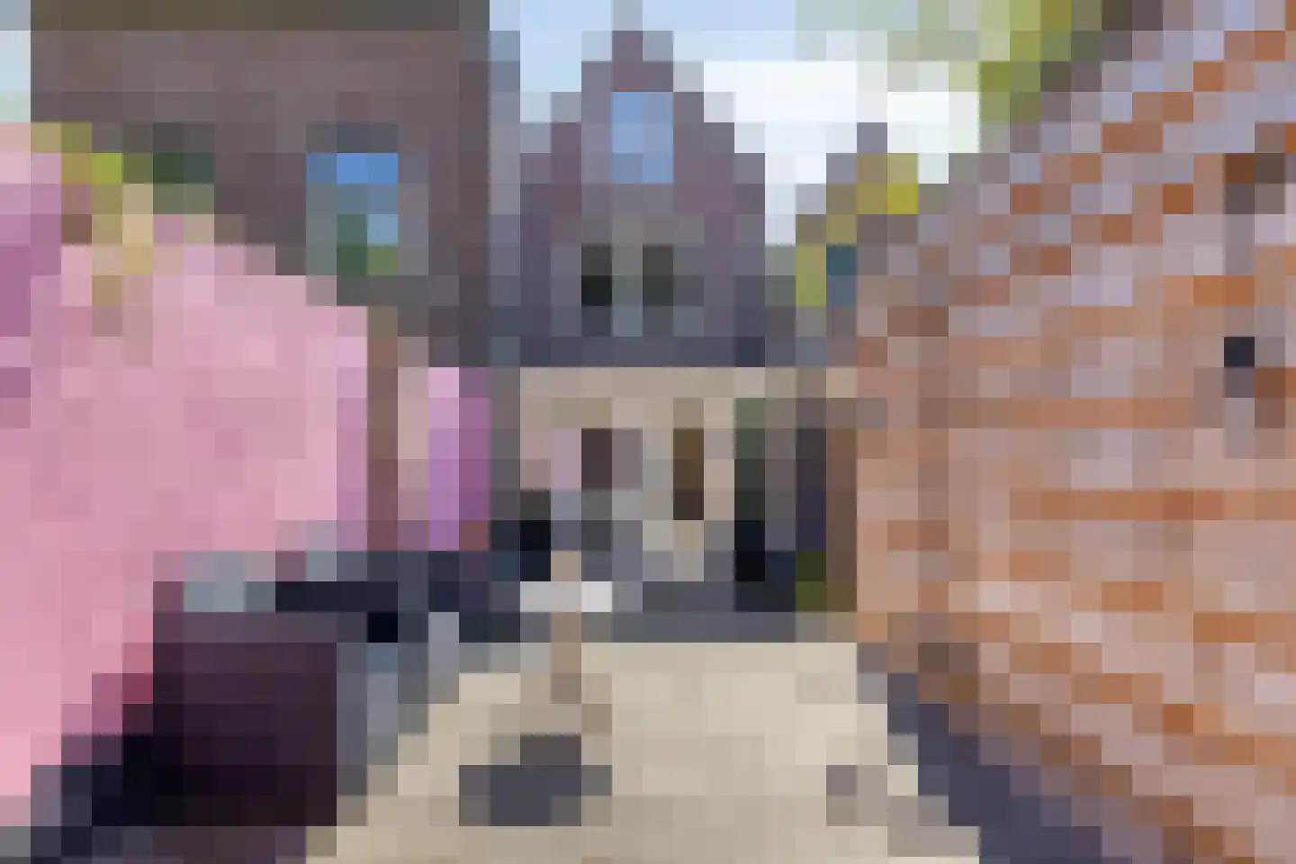 Sint Domusstraat 41 Zierikzee thumbnail 26