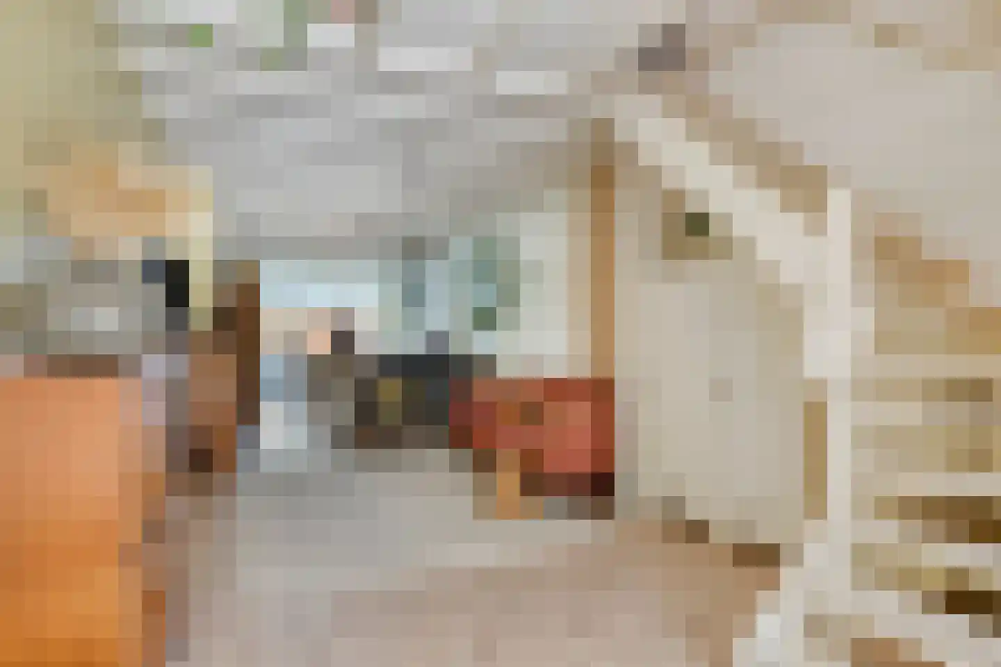 Sint Domusstraat 41 Zierikzee thumbnail 4