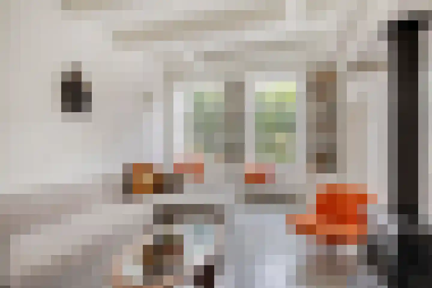 Sint Domusstraat 44 Zierikzee thumbnail 12