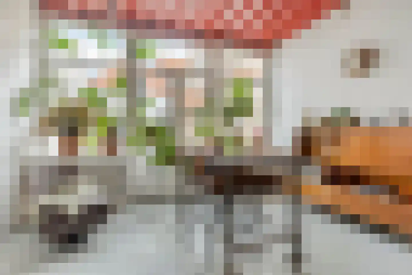 Sint Domusstraat 44 Zierikzee thumbnail 17