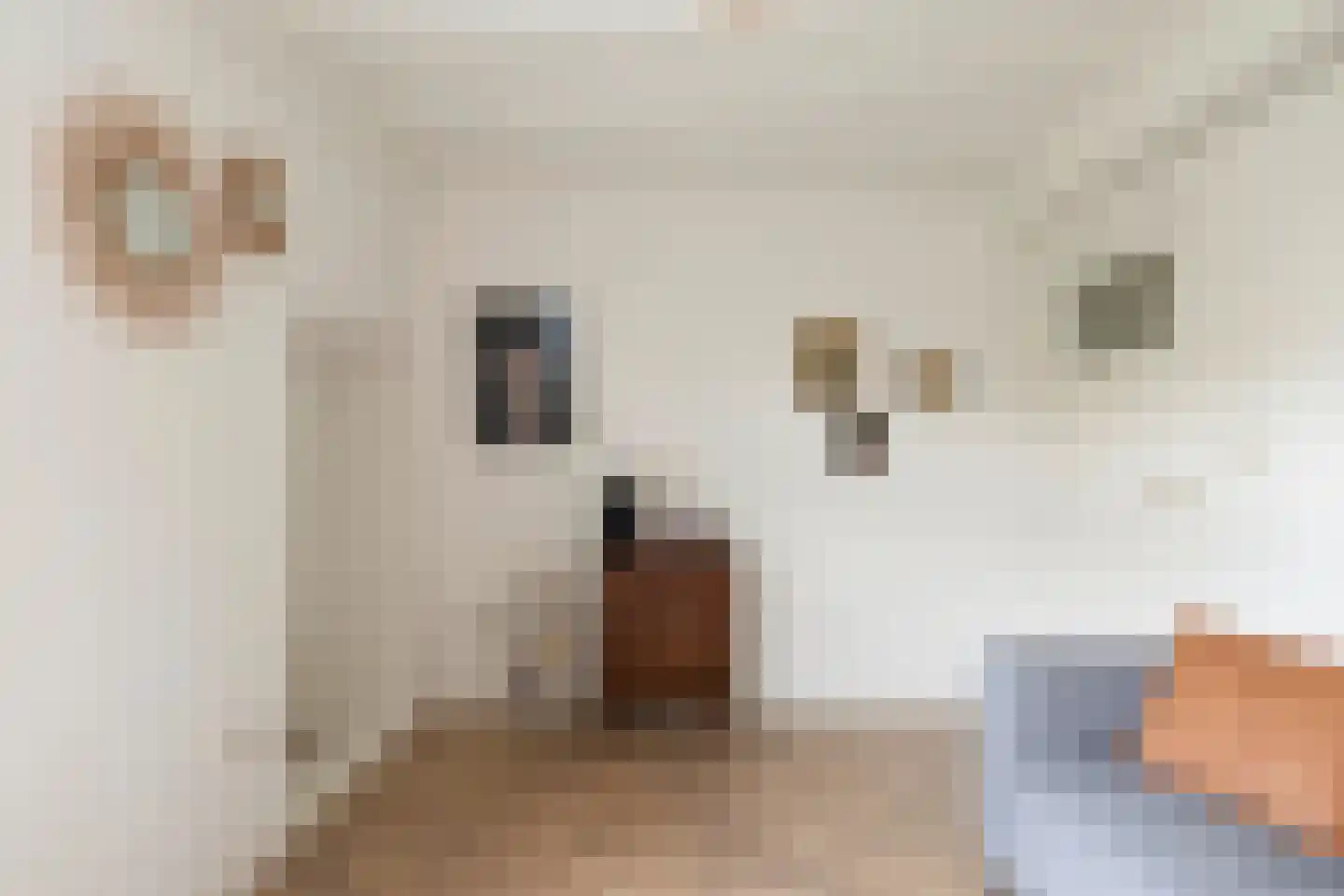 Sint Domusstraat 44 Zierikzee thumbnail 28