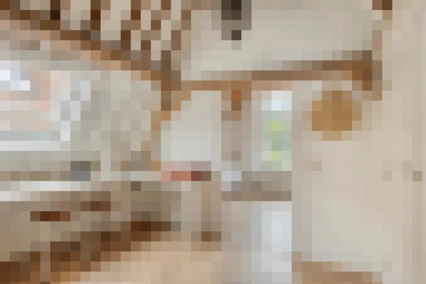 Sint Domusstraat 44 Zierikzee thumbnail 31