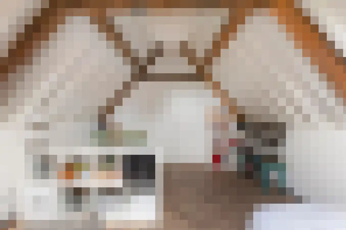 Sint Domusstraat 44 Zierikzee thumbnail 37