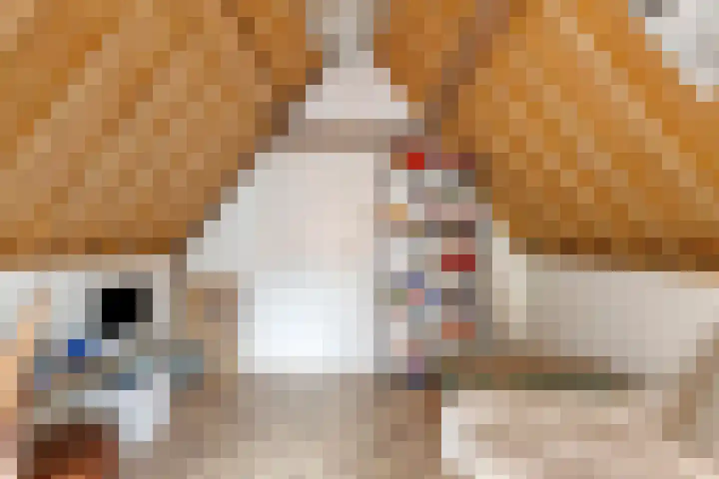Sint Domusstraat 44 Zierikzee thumbnail 39