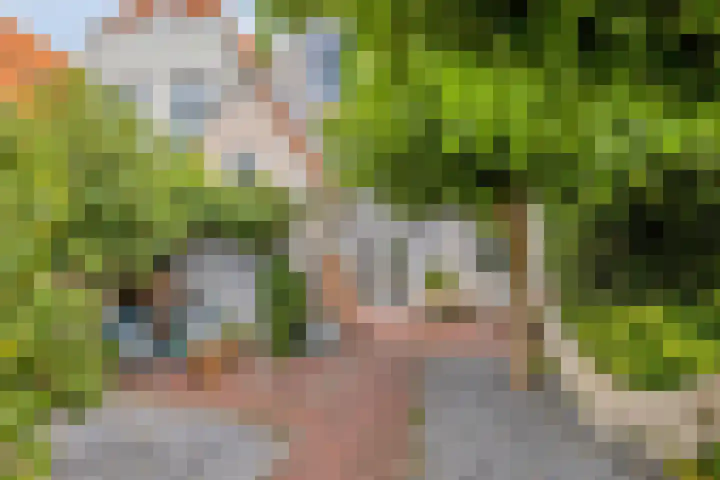 Sint Domusstraat 44 Zierikzee thumbnail 43