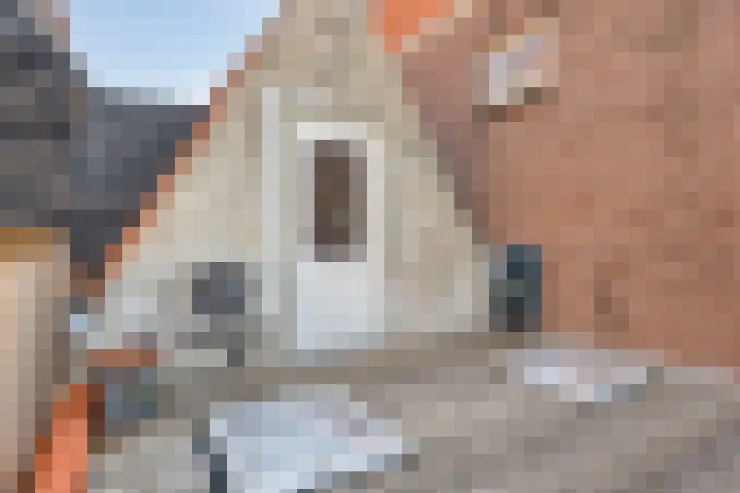 Sint Domusstraat 6 Zierikzee thumbnail 29