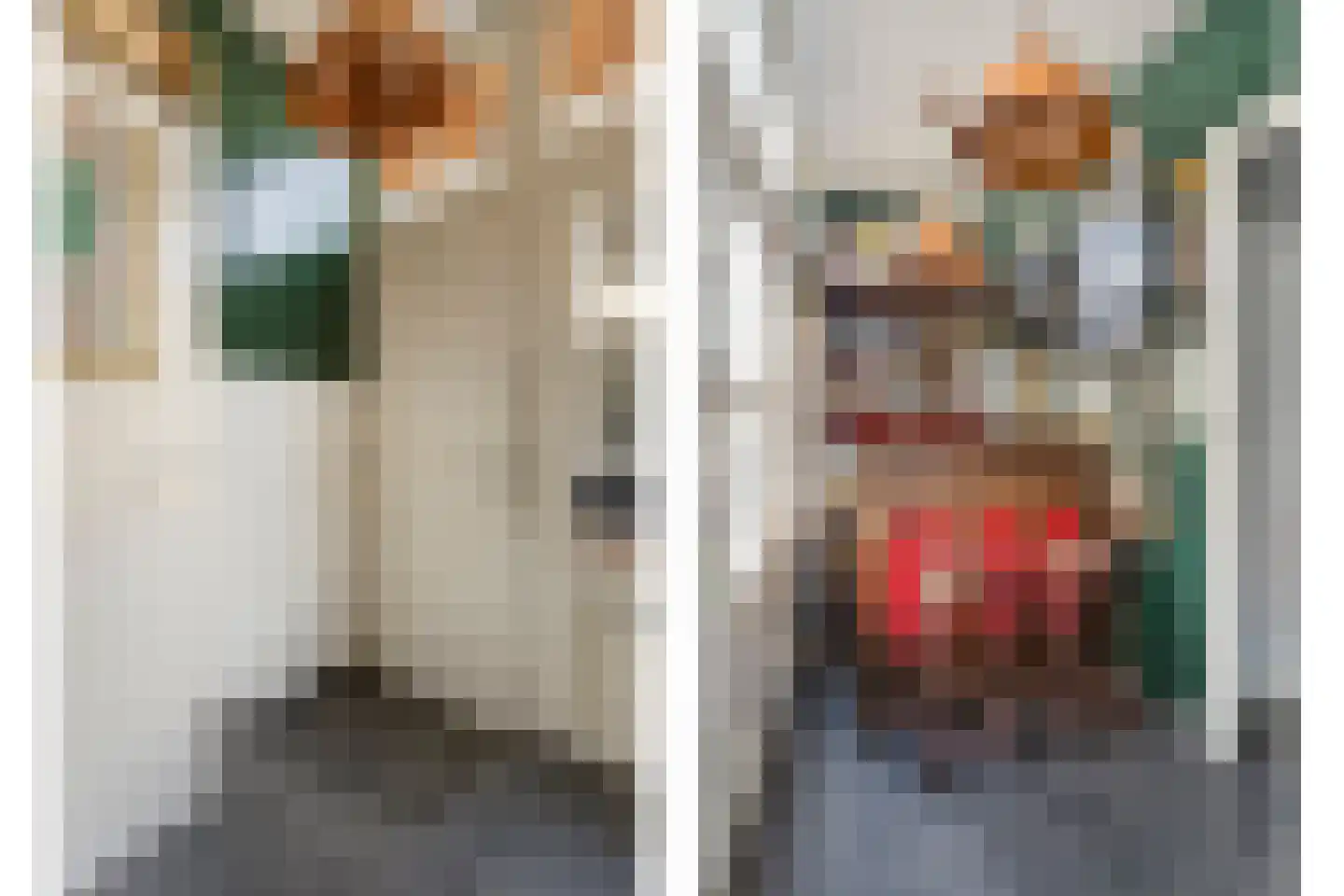Sint Domusstraat 6 Zierikzee thumbnail 4