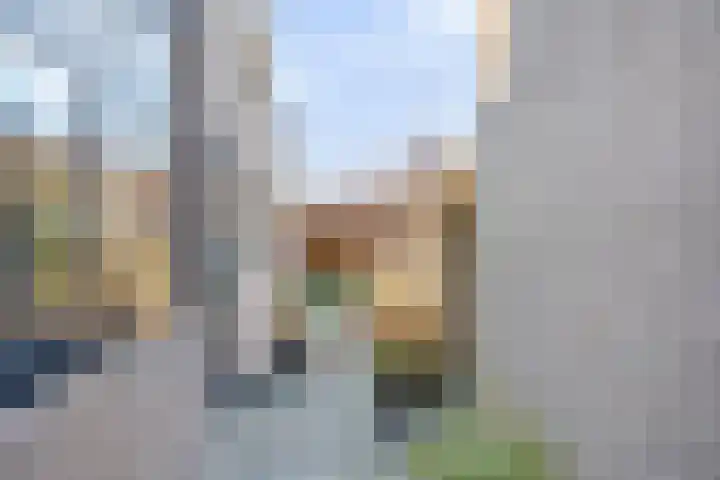 Sint Domusstraat 60 Zierikzee thumbnail 29