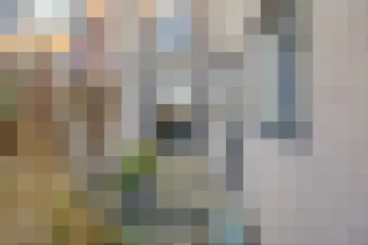 Sint Domusstraat 60 Zierikzee thumbnail 30