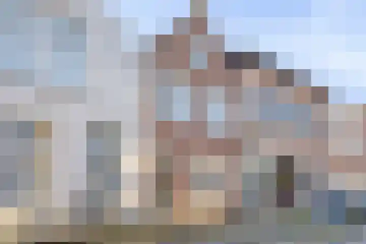 Sint Domusstraat 60 Zierikzee thumbnail 38