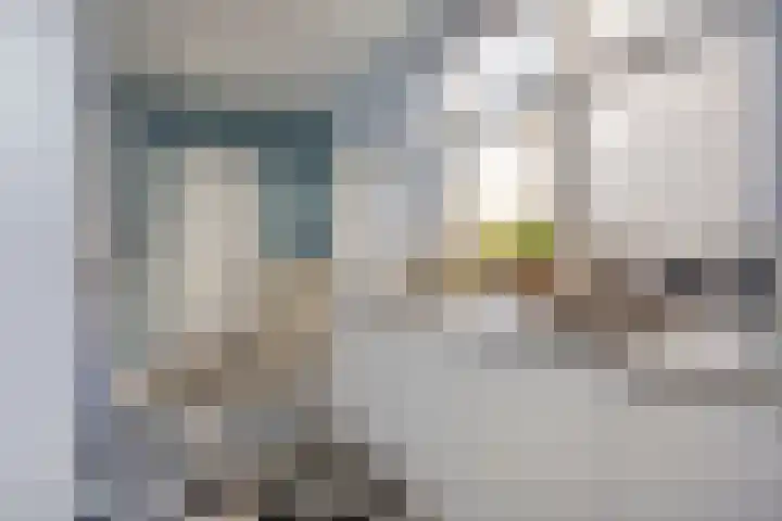 Sint Domusstraat 60 Zierikzee thumbnail 8