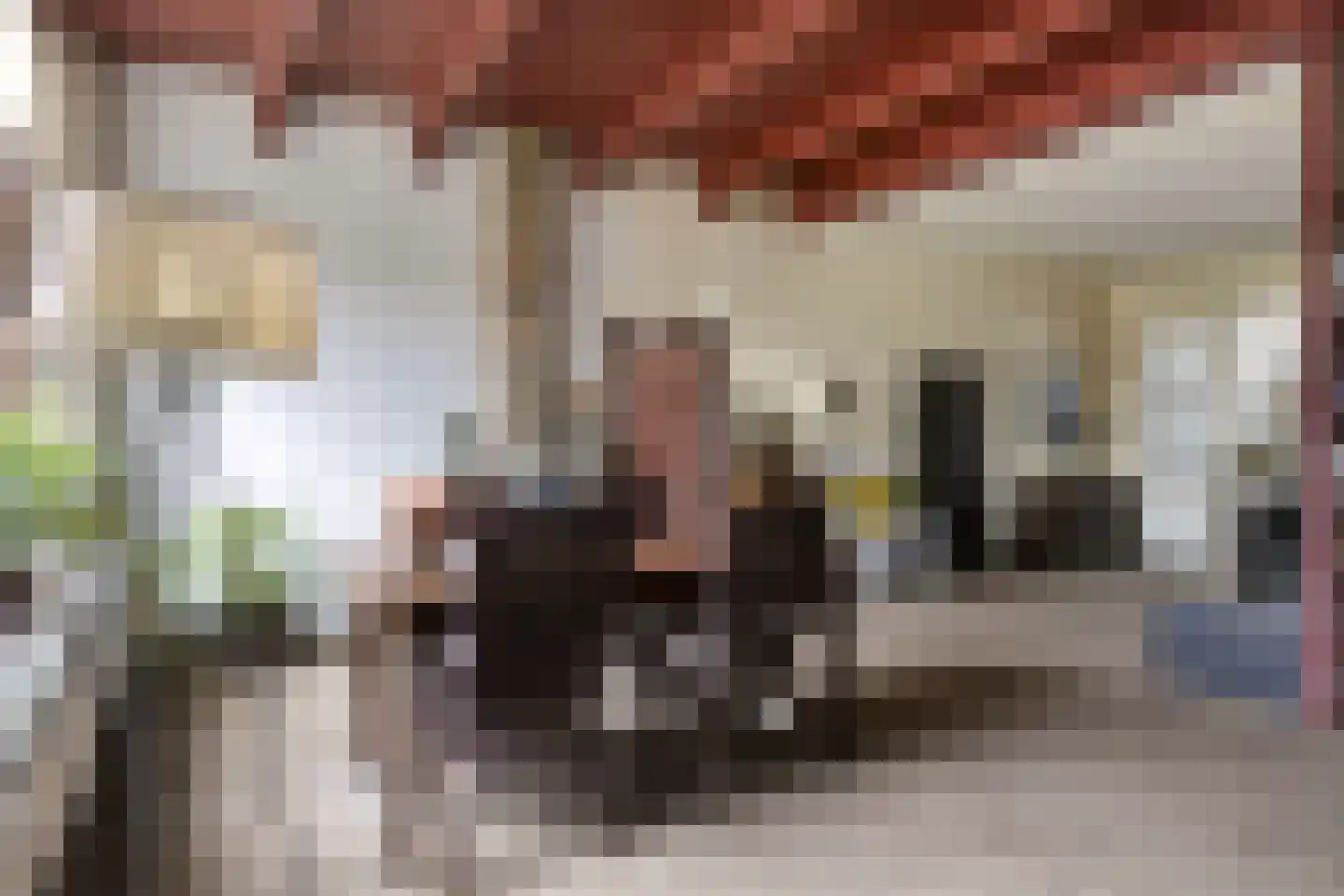 Sint Domusstraat 62 Zierikzee thumbnail 10