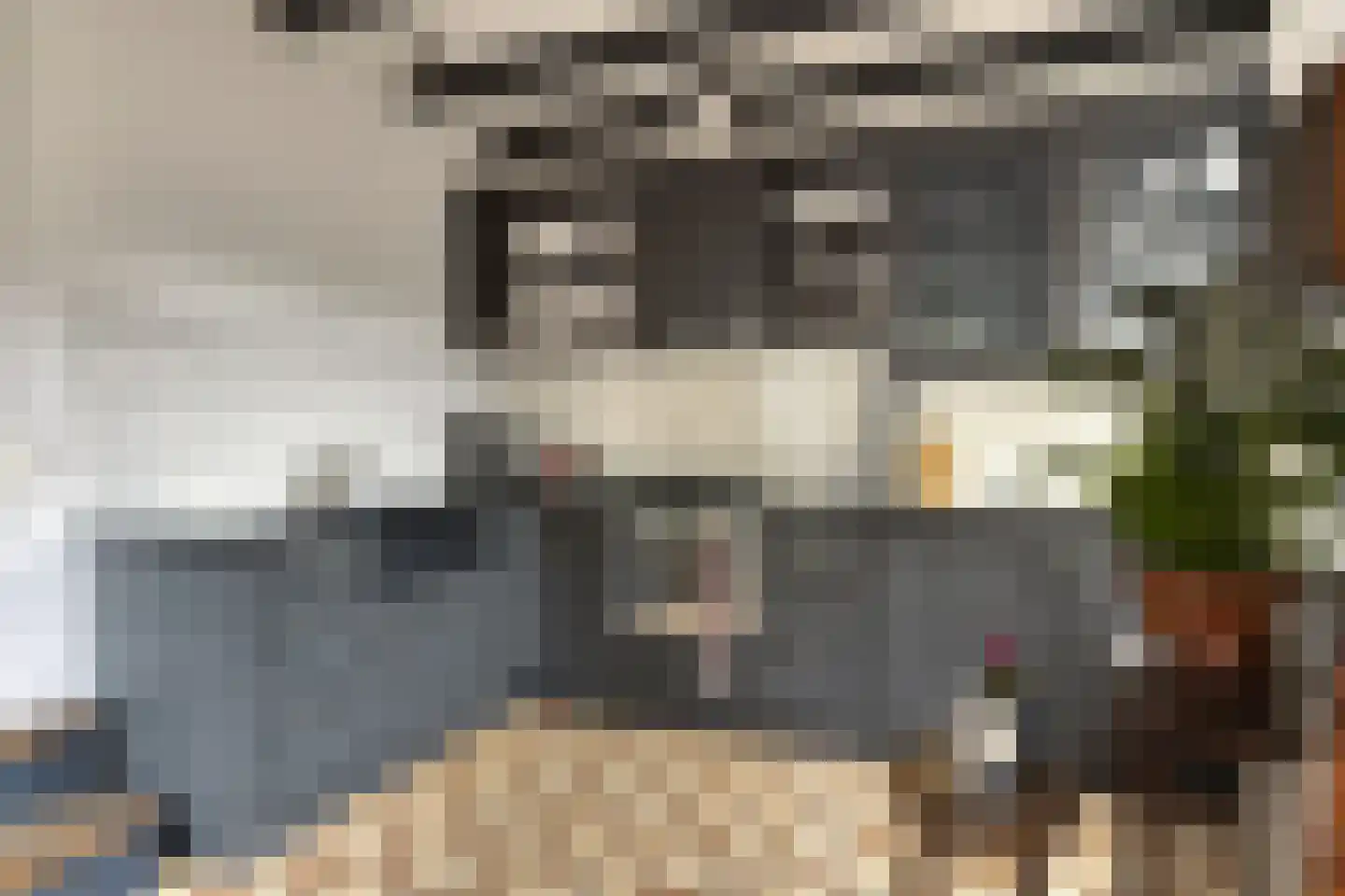 Sint Domusstraat 62 Zierikzee thumbnail 12
