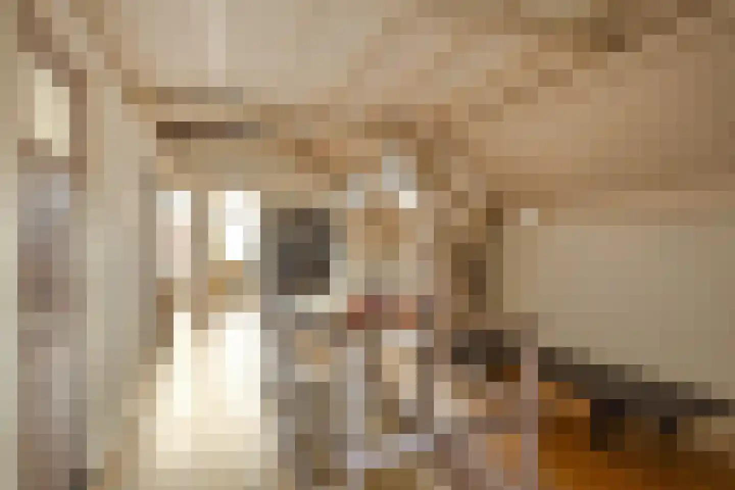 Sint Domusstraat 62 Zierikzee thumbnail 18