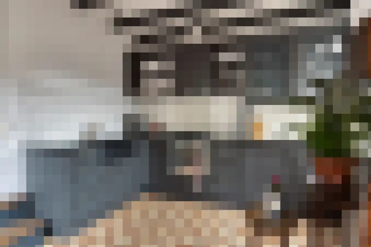 Sint Domusstraat 62 Zierikzee thumbnail 20