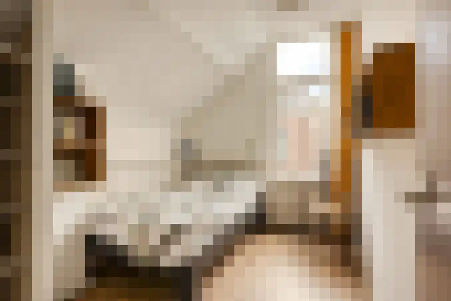 Sint Domusstraat 62 Zierikzee thumbnail 21