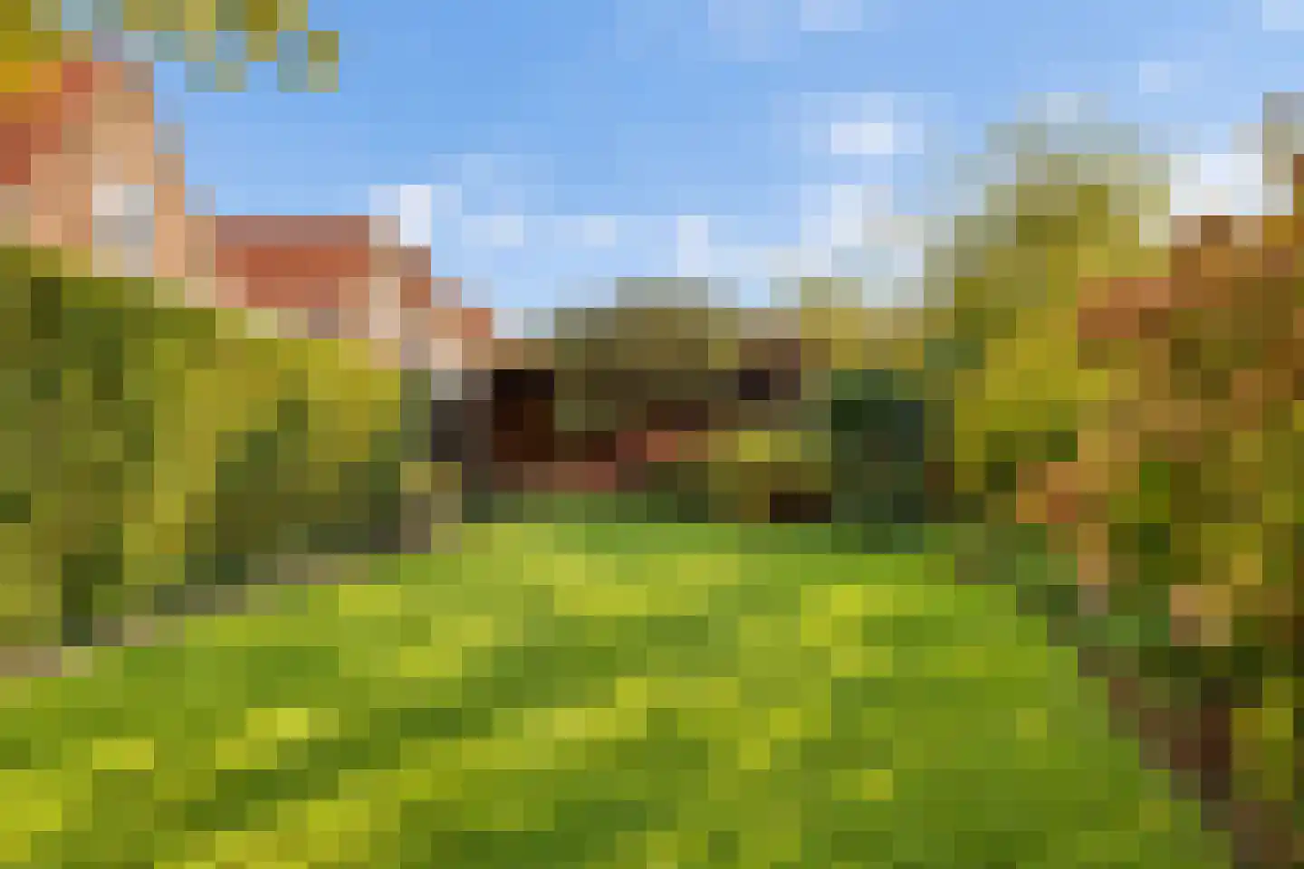 Sint Domusstraat 62 Zierikzee thumbnail 25