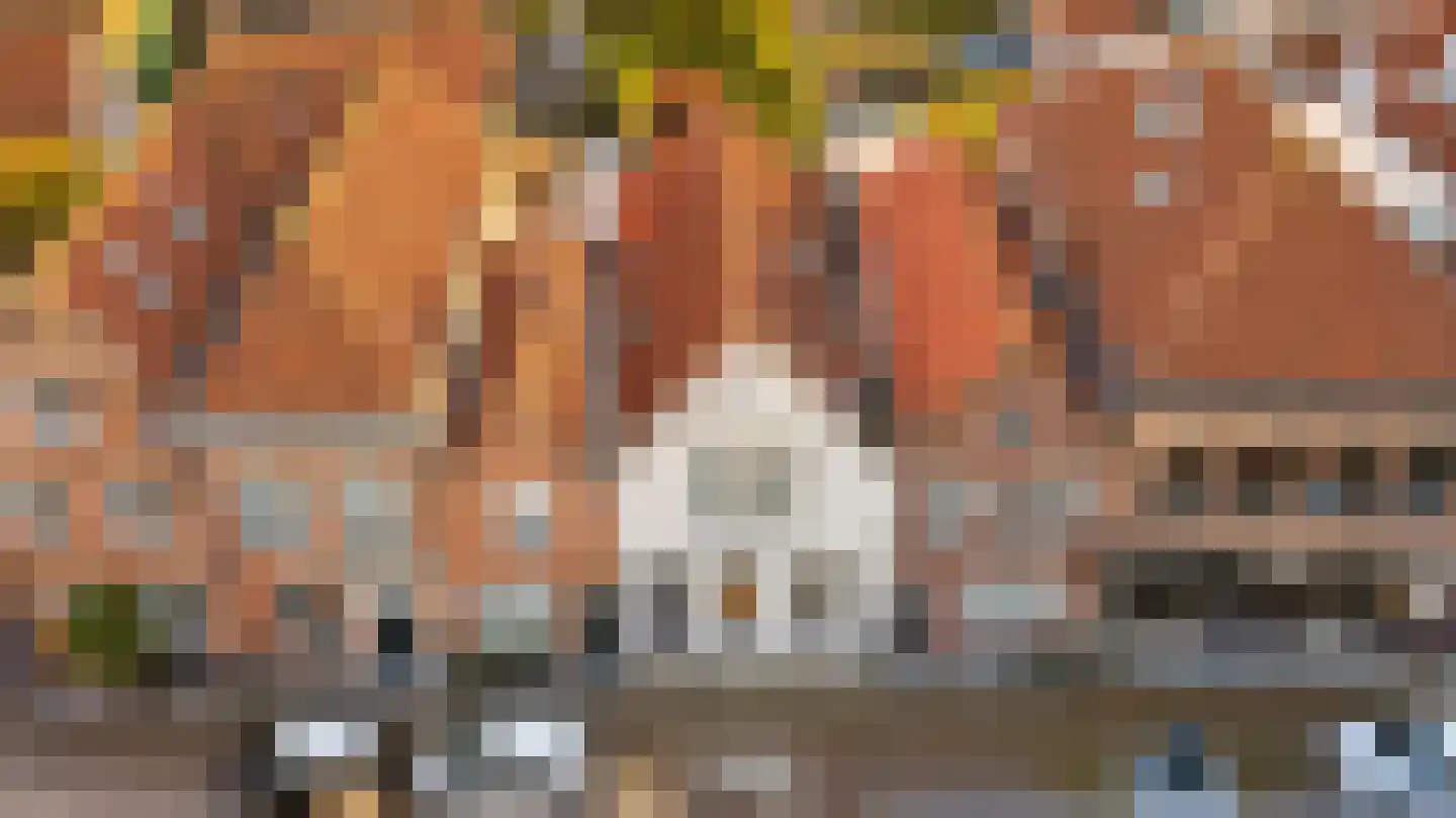 Sint Domusstraat 62 Zierikzee thumbnail 28