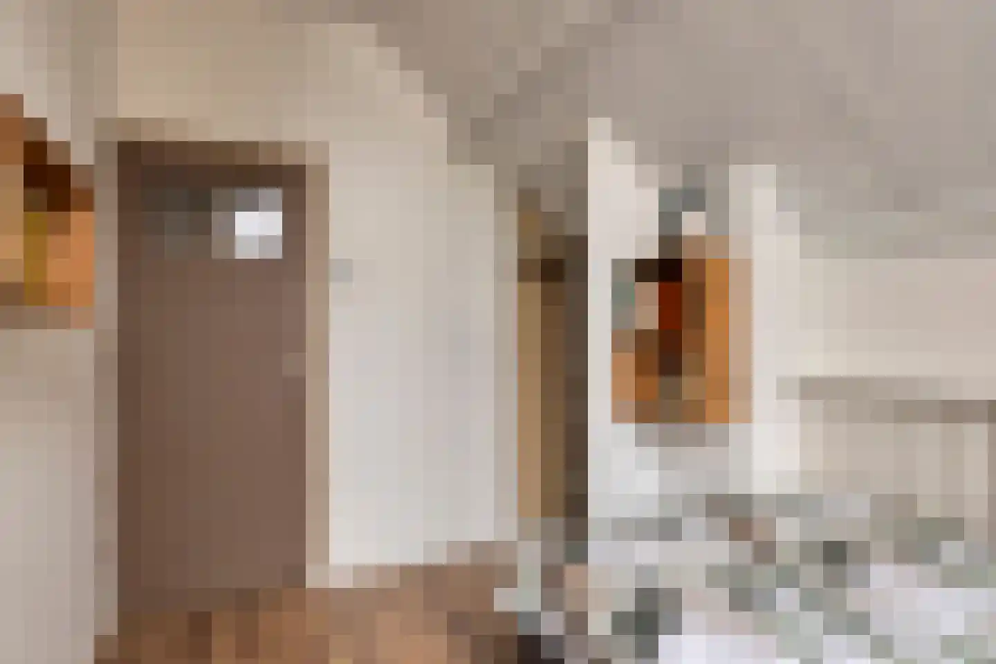 Sint Domusstraat 62 Zierikzee thumbnail 29