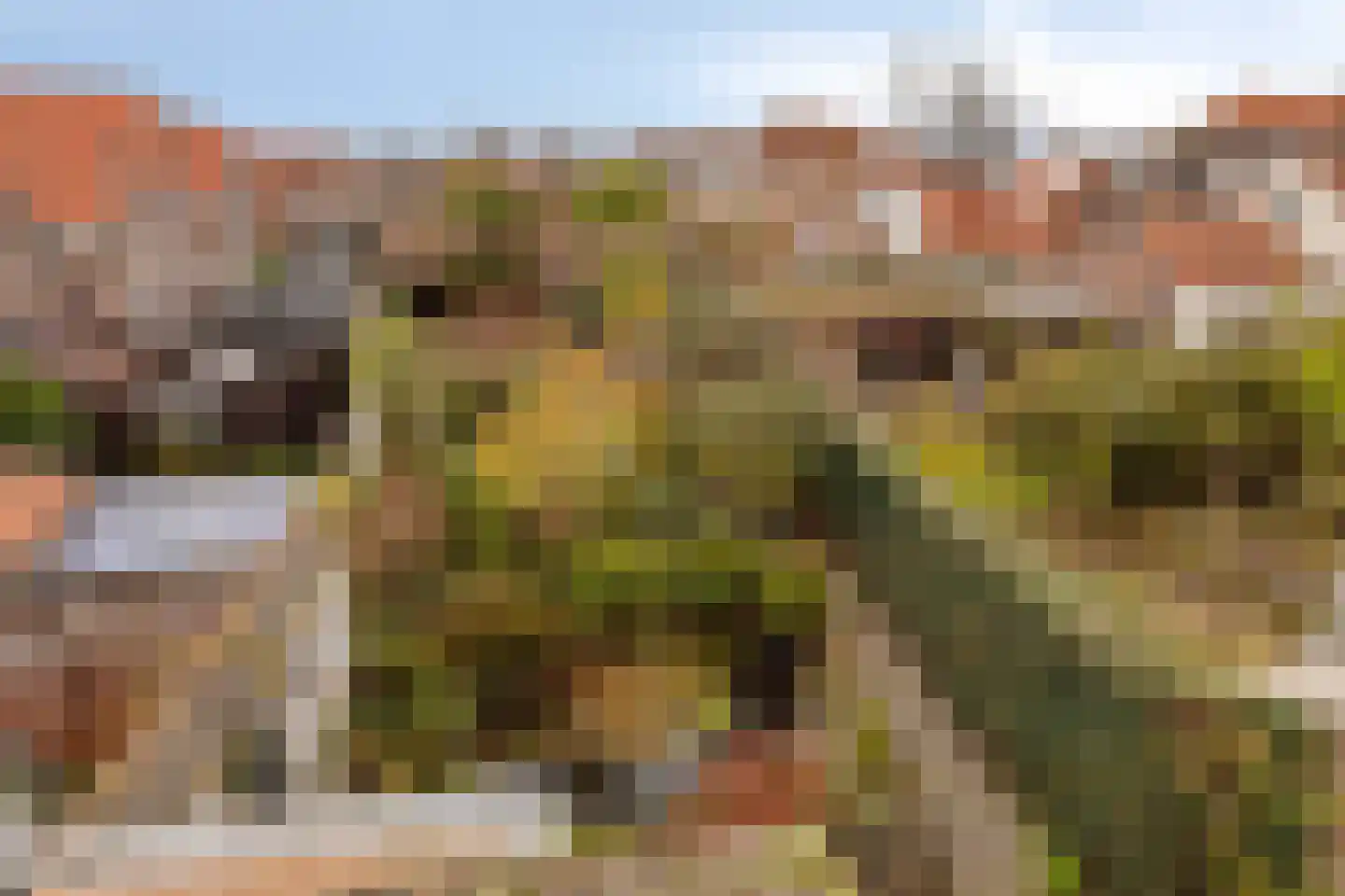 Sint Domusstraat 62 Zierikzee thumbnail 35