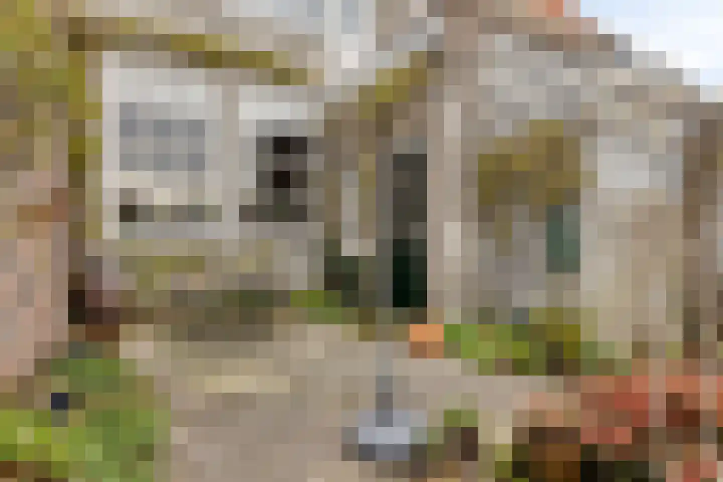 Sint Domusstraat 62 Zierikzee thumbnail 39