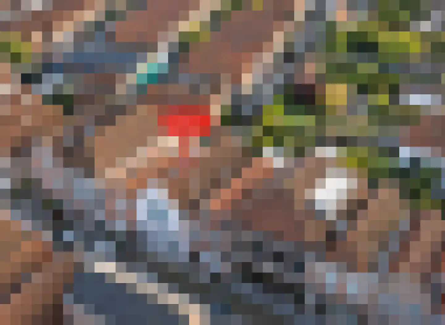 Sint Domusstraat 62 Zierikzee thumbnail 4