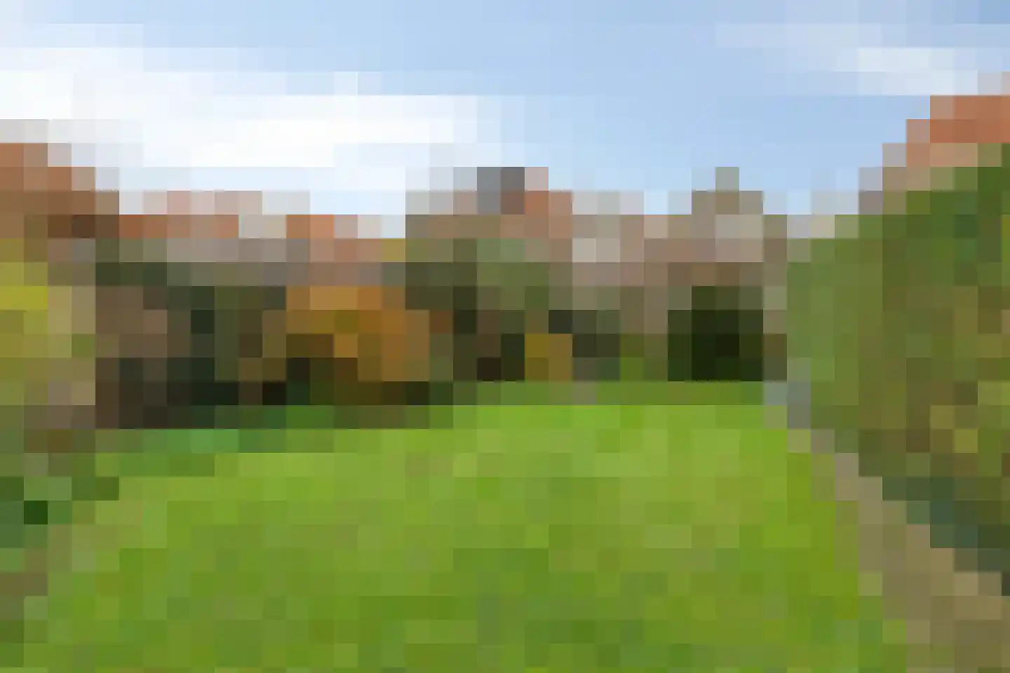 Sint Domusstraat 62 Zierikzee thumbnail 4
