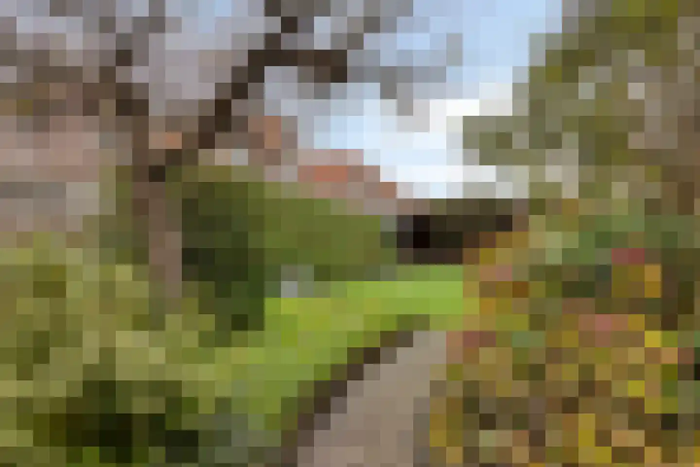 Sint Domusstraat 62 Zierikzee thumbnail 42