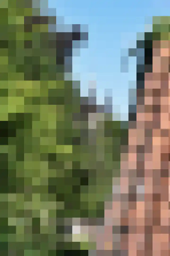 Sint Domusstraat 81 Zierikzee thumbnail 31