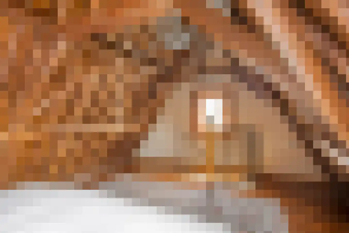 Sint Domusstraat 88 Zierikzee thumbnail 37