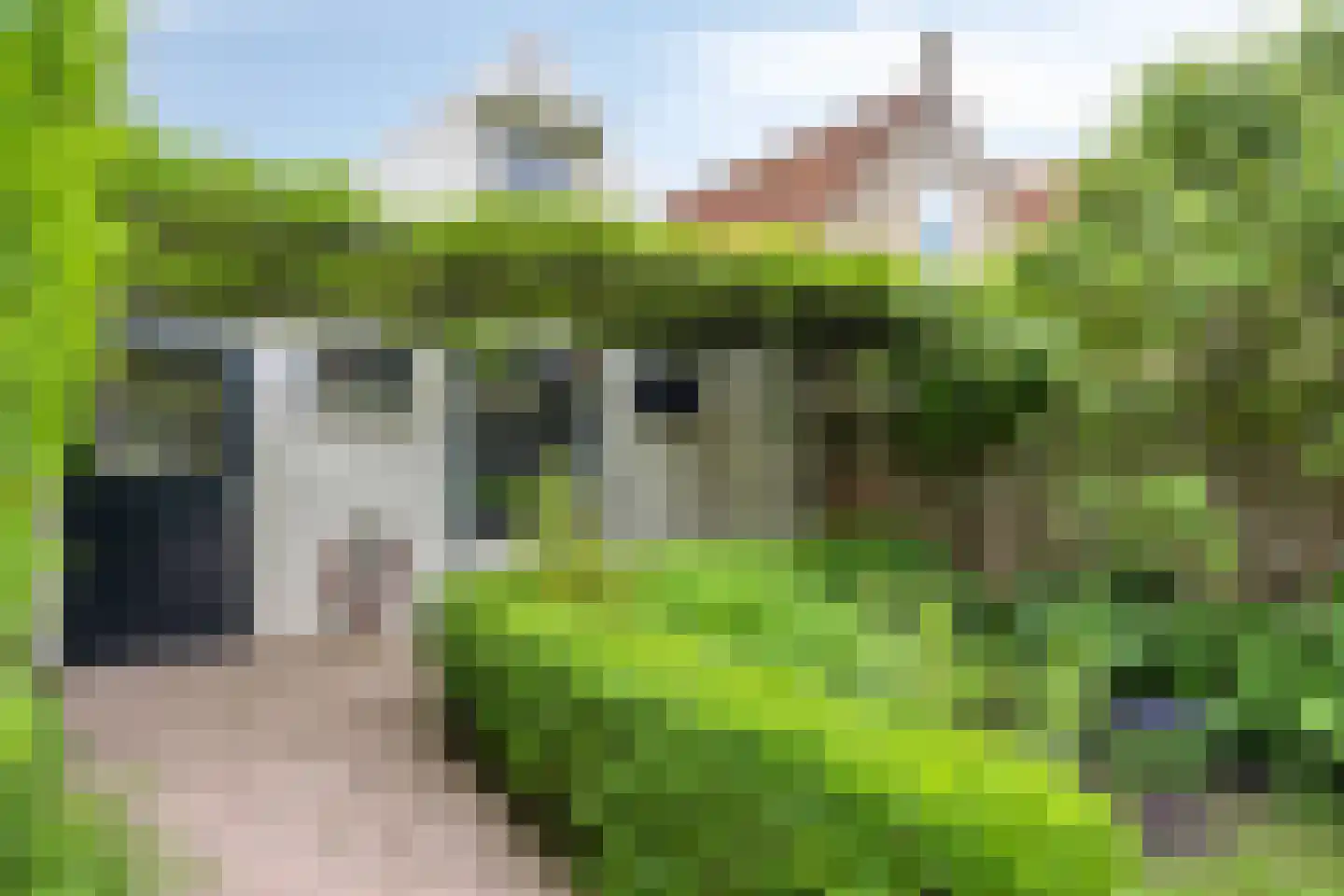 Sint Domusstraat 88 Zierikzee thumbnail 39