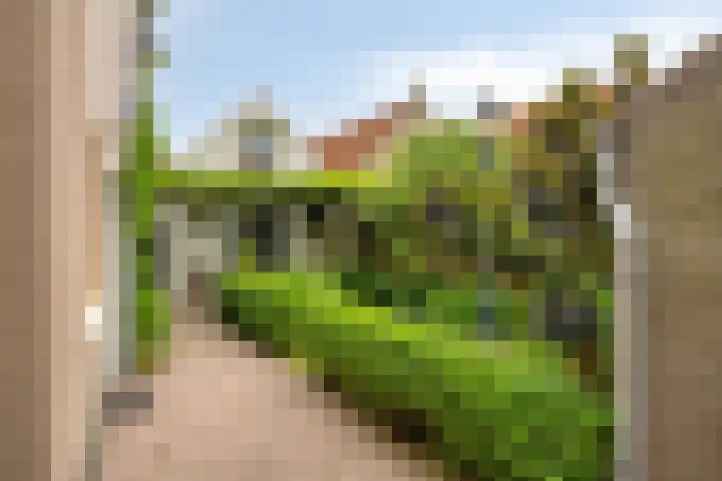 Sint Domusstraat 88 Zierikzee thumbnail 40
