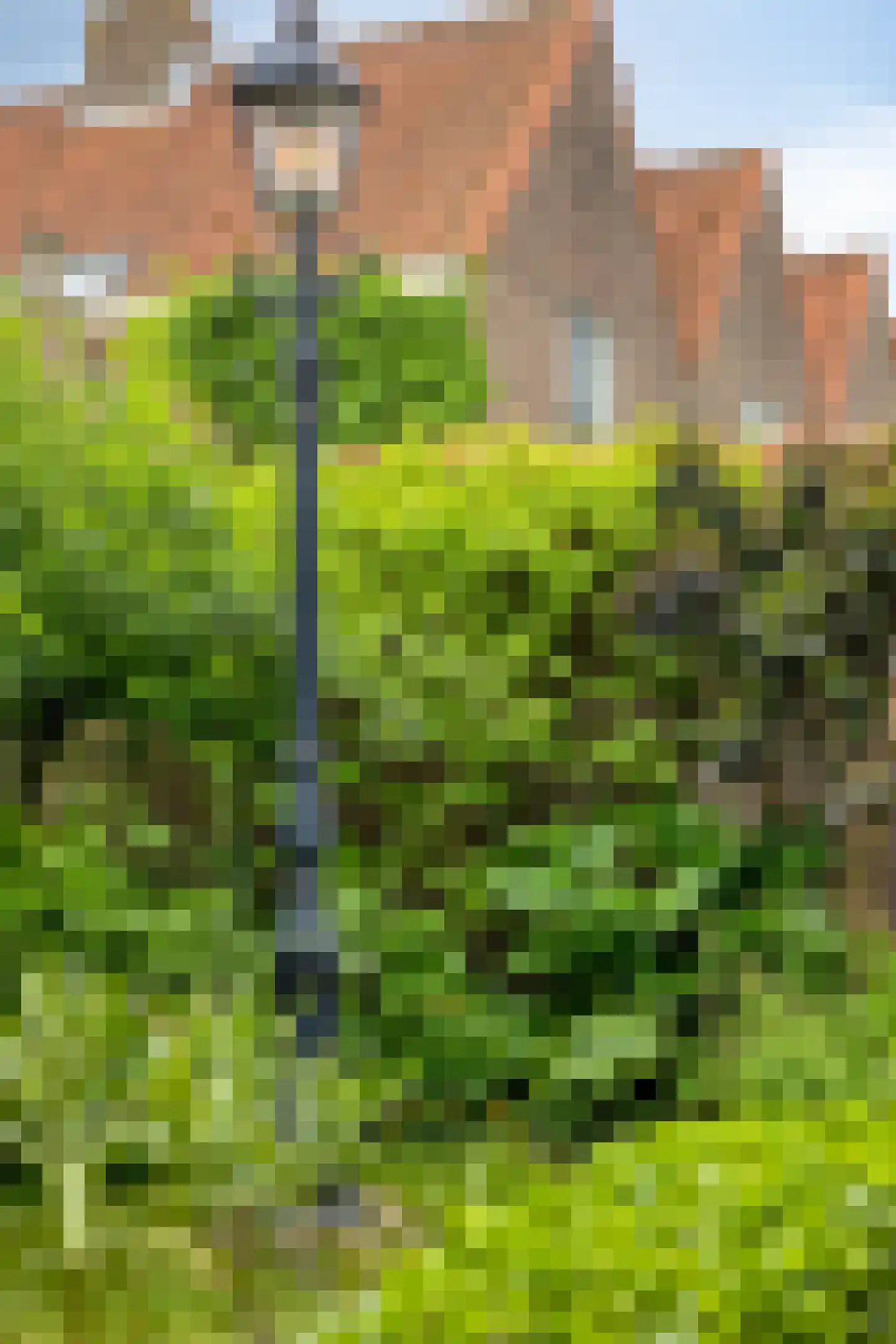 Sint Domusstraat 88 Zierikzee thumbnail 42