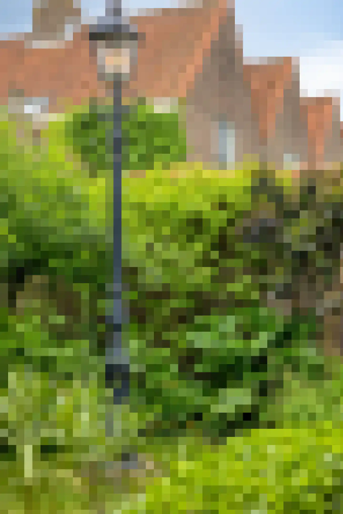 Sint Domusstraat 88 Zierikzee thumbnail 45