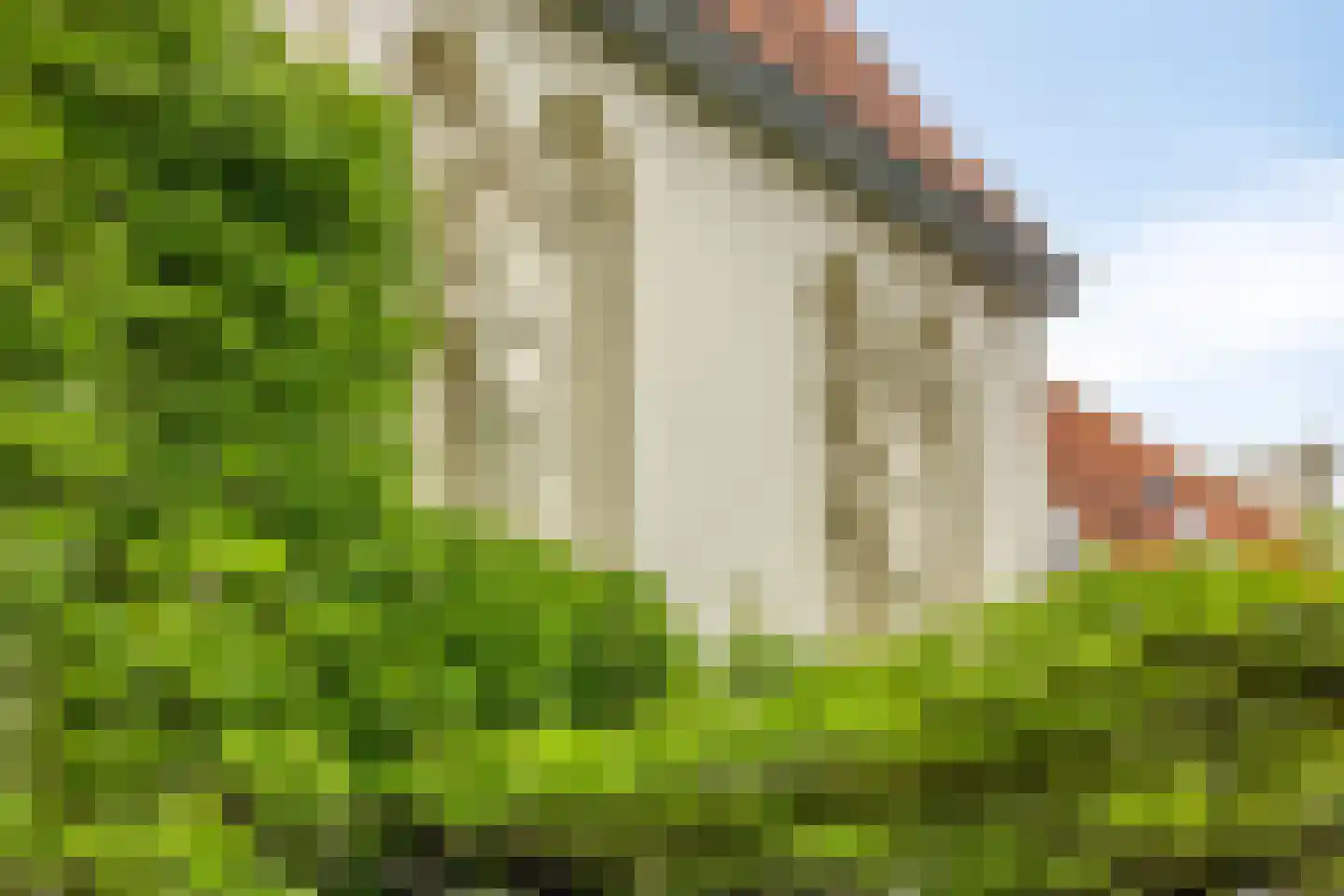 Sint Domusstraat 88 Zierikzee thumbnail 6